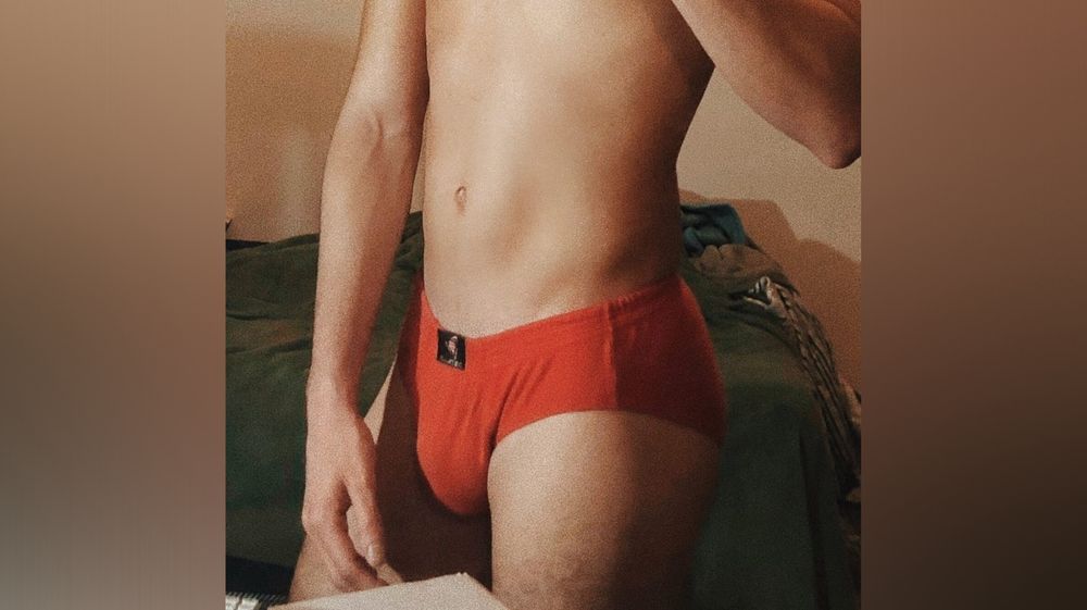 seandresxl OnlyFans profile picture