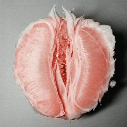 wetsnail OnlyFans picture