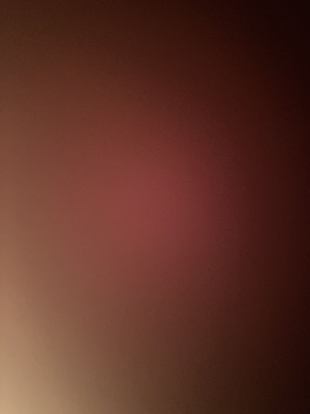 honeyybrii OnlyFans profile picture