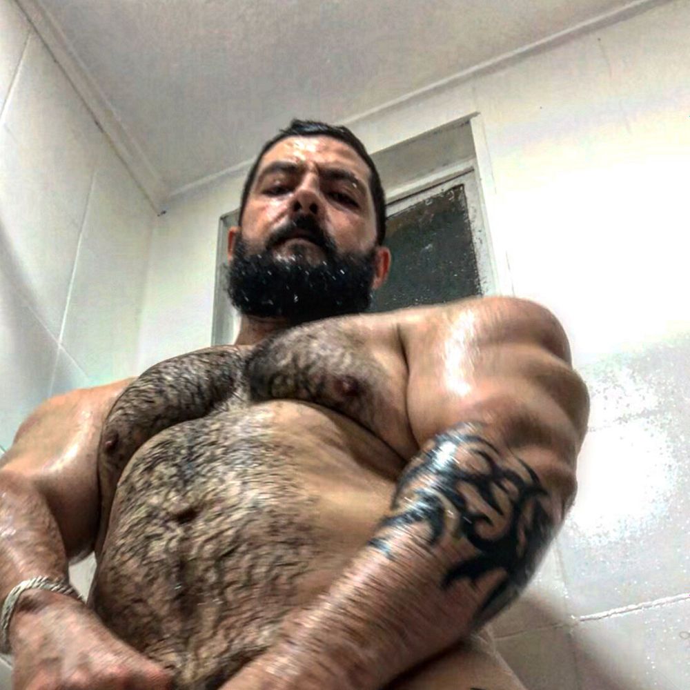ponychelo OnlyFans profile picture