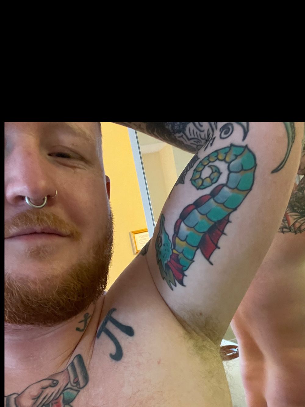 matteverde OnlyFans profile picture