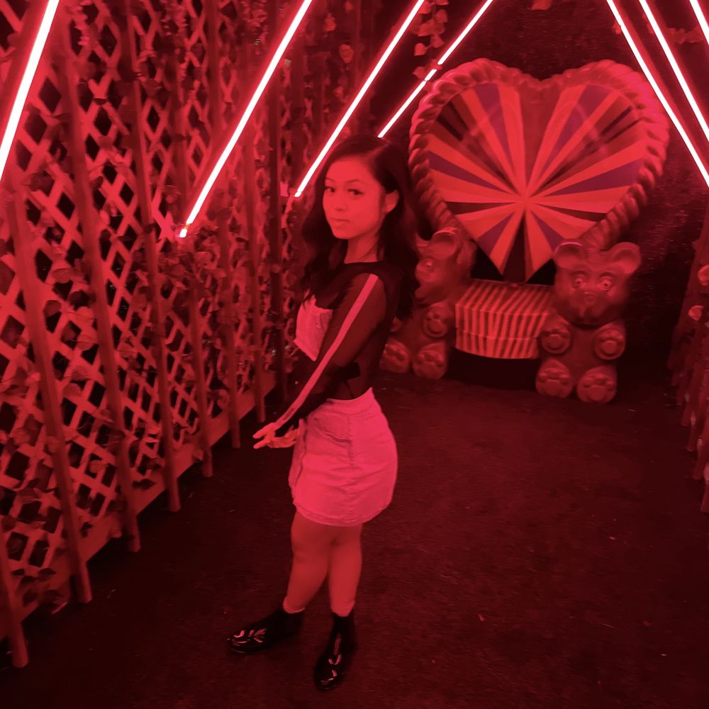 lilvietbrat OnlyFans profile picture