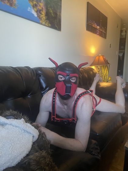 roscoesteele100 OnlyFans picture