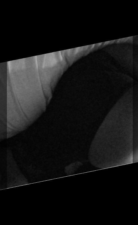 amberrozay OnlyFans profile picture