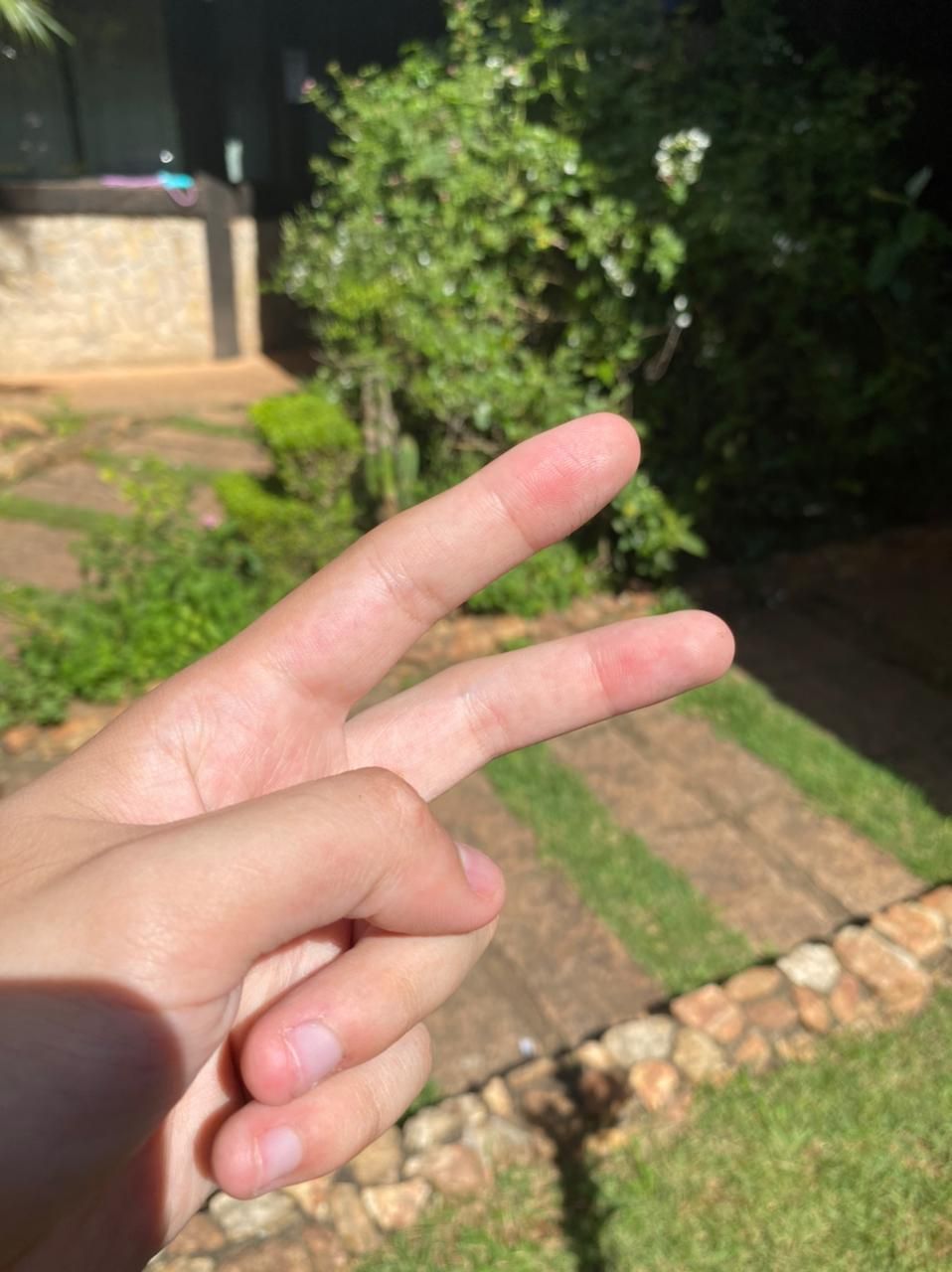 aninimo OnlyFans profile picture