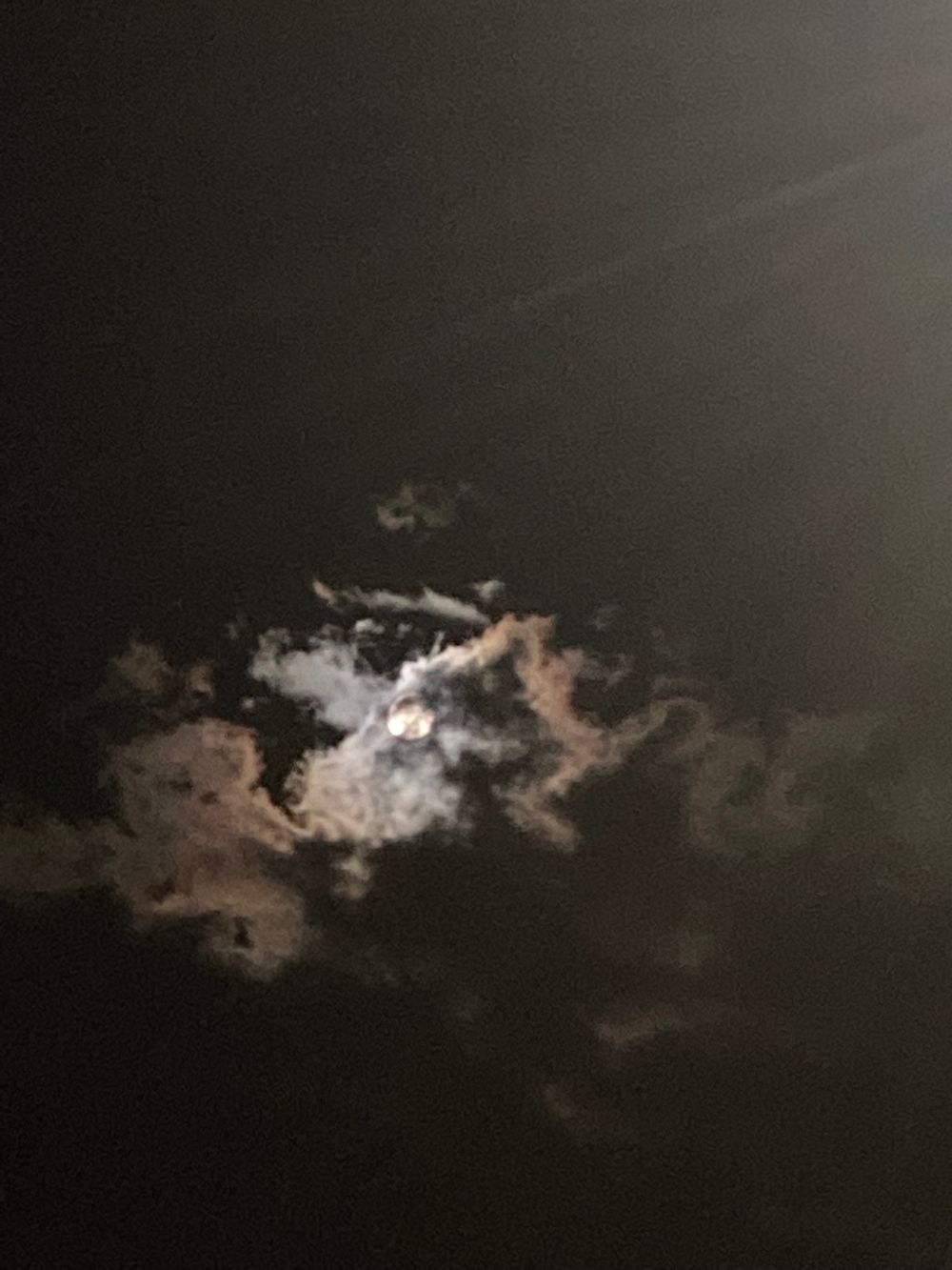 stoner-bbw OnlyFans profile picture
