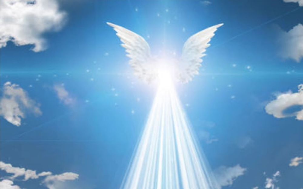 desmayoss OnlyFans - Stats, Graphs, Photos & Profile Comparisons