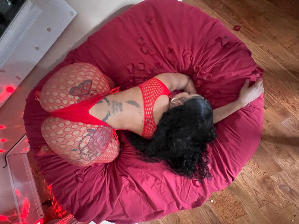 islandtee2 OnlyFans profile picture