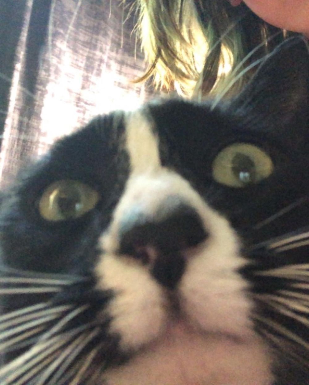 pawsforbunny OnlyFans profile picture