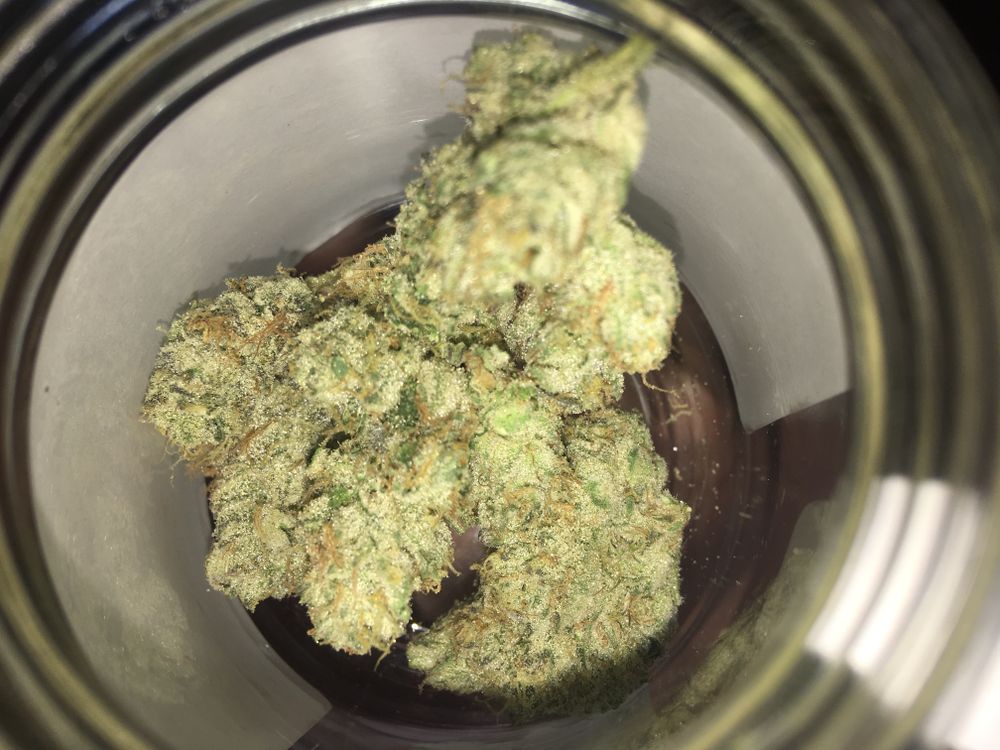 sexy_stoner69 OnlyFans profile picture