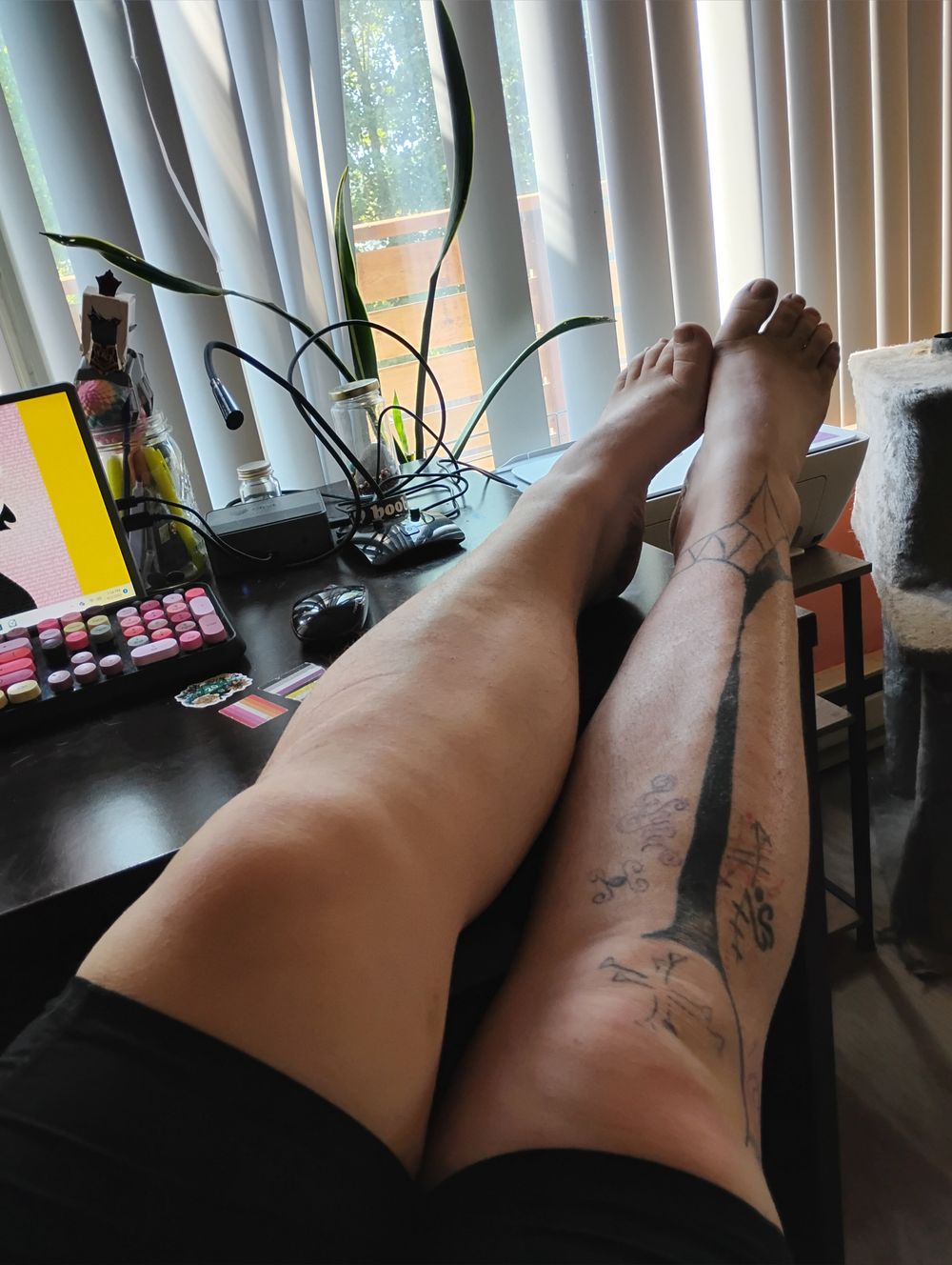 lustyladylala2 OnlyFans profile picture