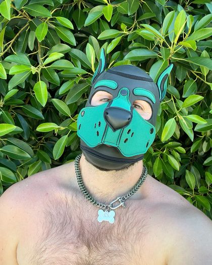 puptank7 OnlyFans picture