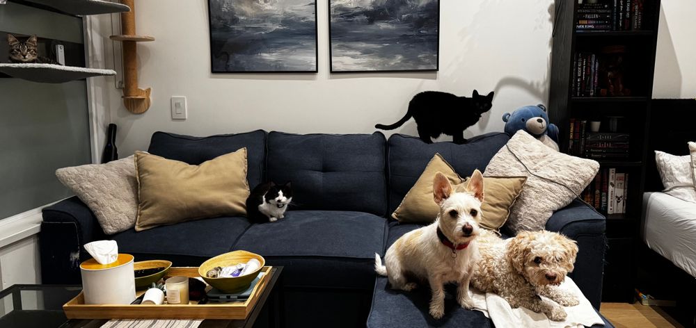 itscelesterochelle OnlyFans profile picture