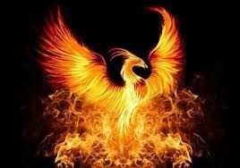 infierno_2023 OnlyFans profile picture