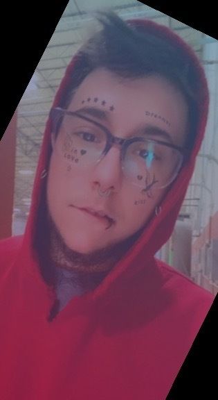 niknakpattywhackmeoff OnlyFans profile picture