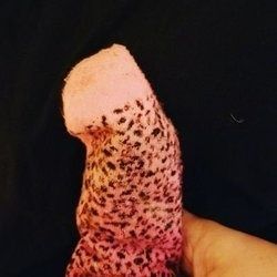 Small Dick Tributes