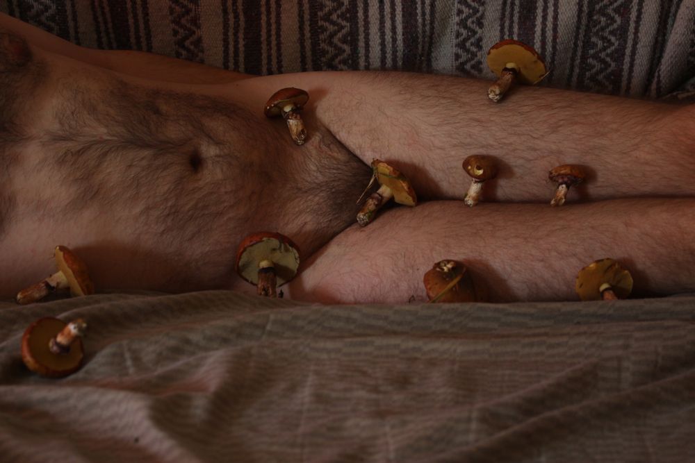 onlymushrooms OnlyFans profile picture