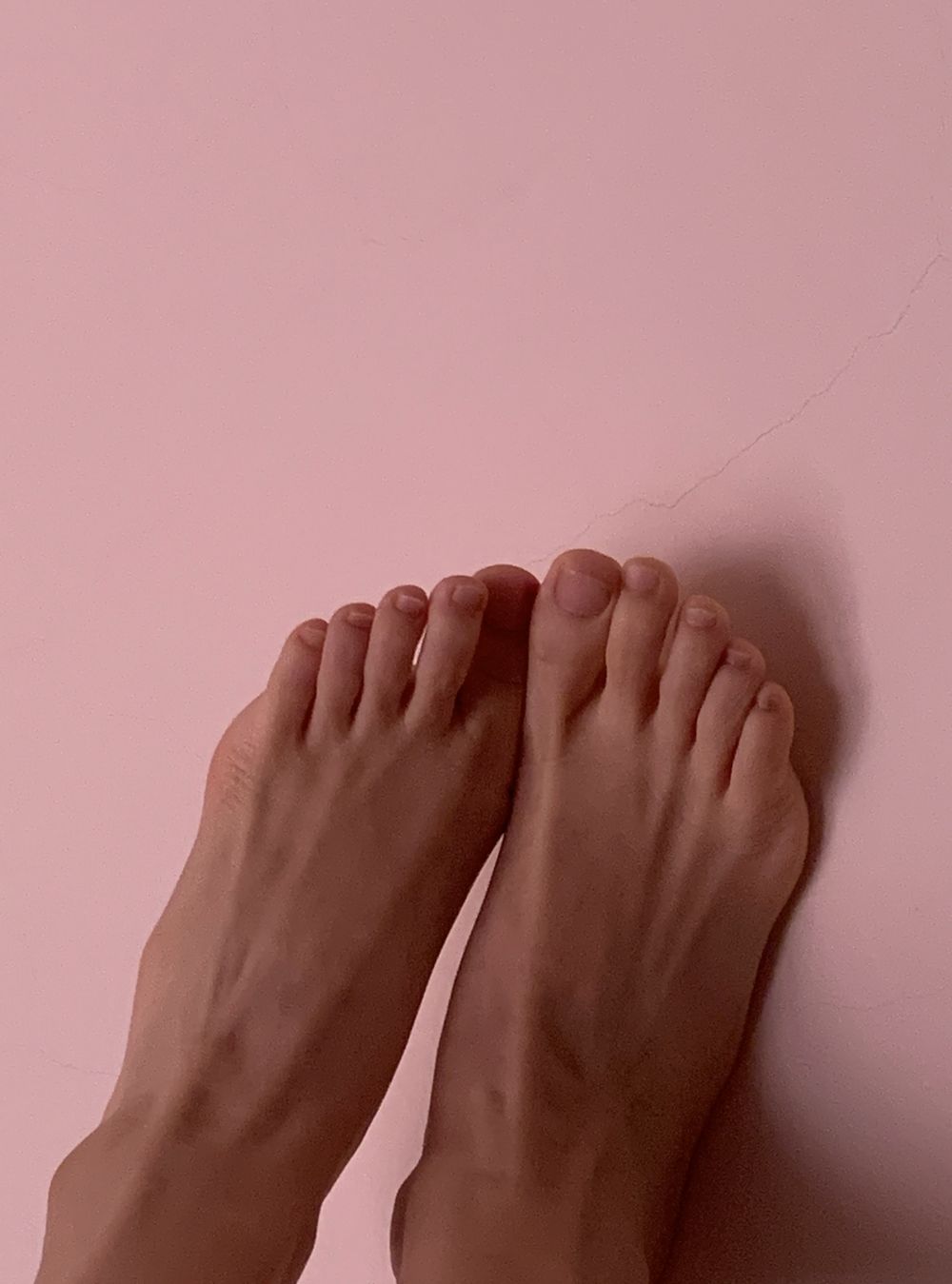rosariumblush OnlyFans profile picture