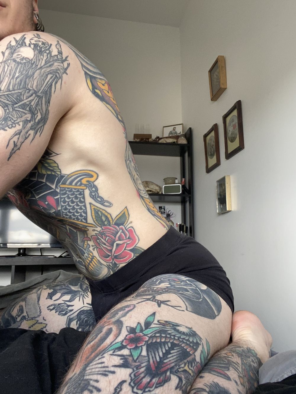 brentonhughe OnlyFans profile picture