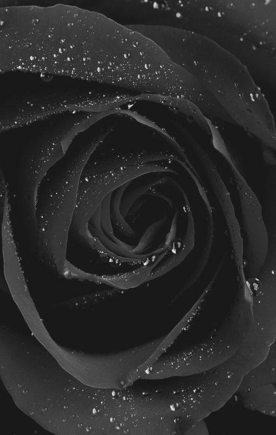 u148991782 OnlyFans profile picture