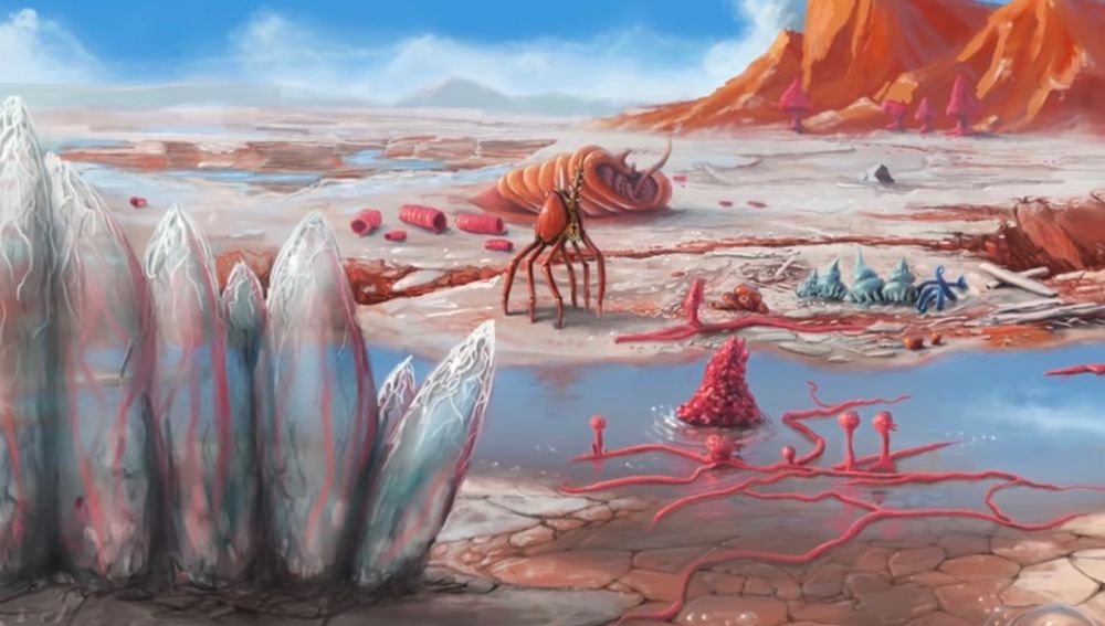 pacowolfe OnlyFans profile picture