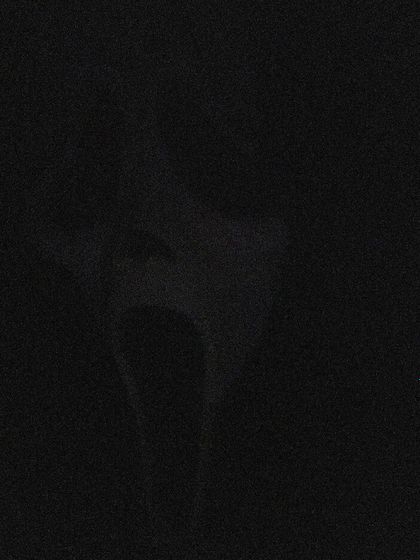 nakedghosts OnlyFans picture