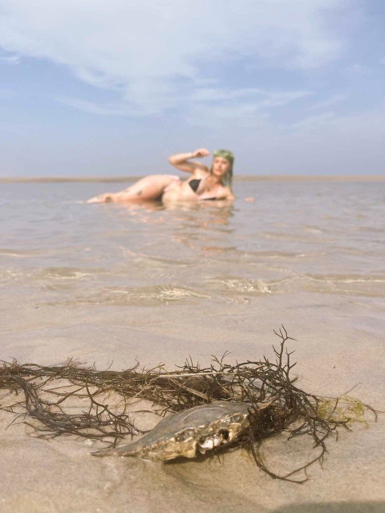 cherrysanpeachs OnlyFans profile picture