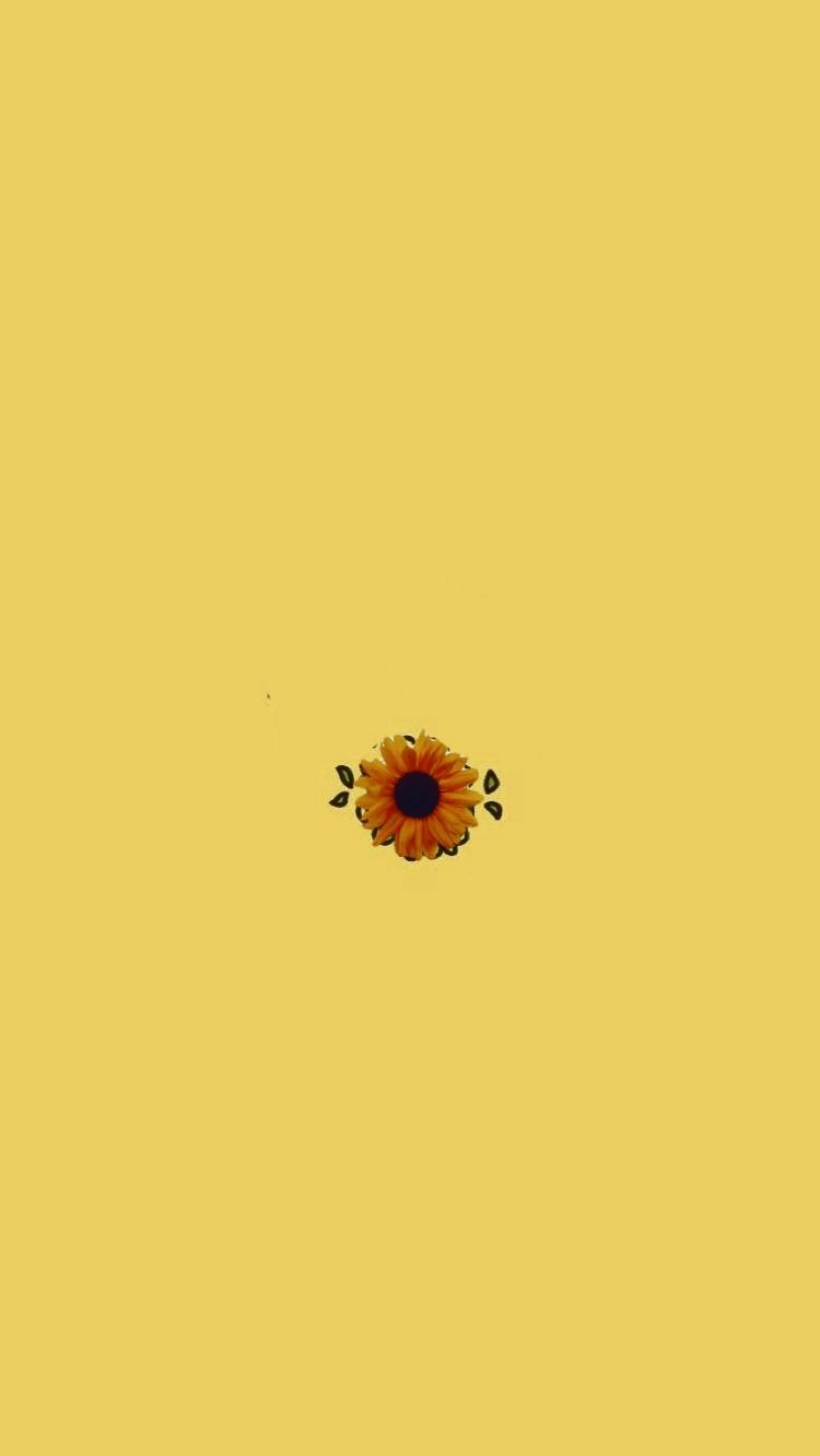 sunflowertits OnlyFans profile picture