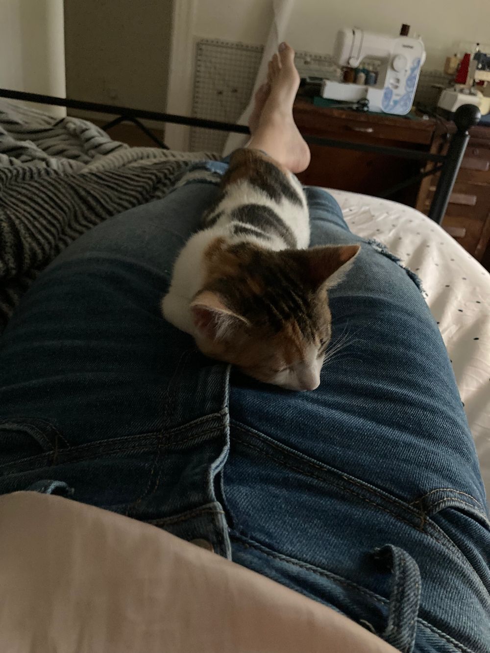 mon_minou OnlyFans profile picture