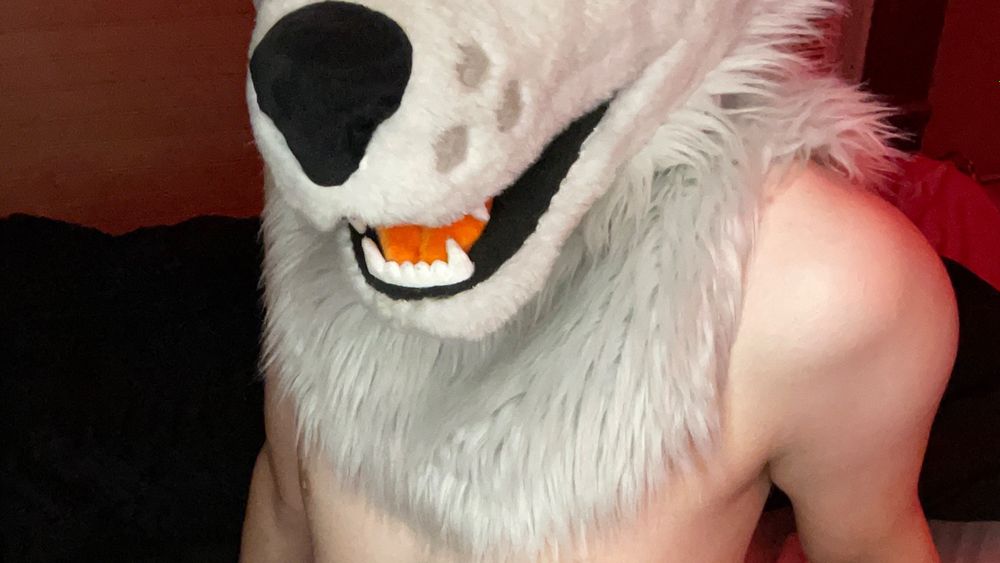 skyethefoxad OnlyFans profile picture