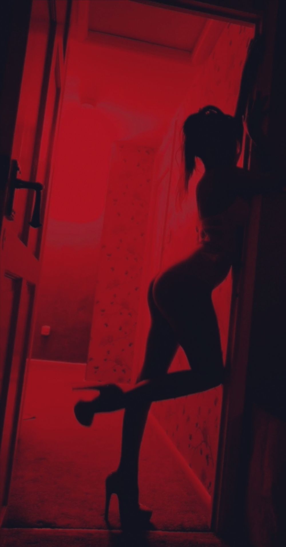 sophiajanexo OnlyFans profile picture