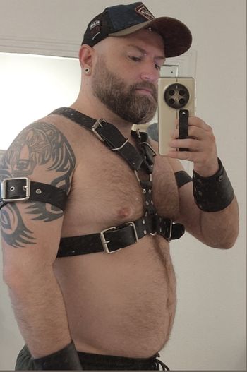 WolfBear_sp