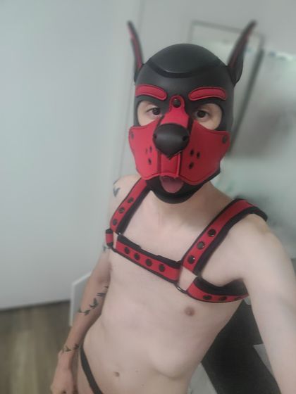 kinki_pup OnlyFans picture