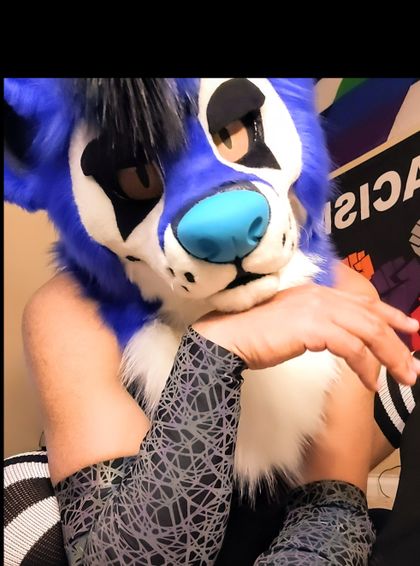 subbyfolf932 OnlyFans picture
