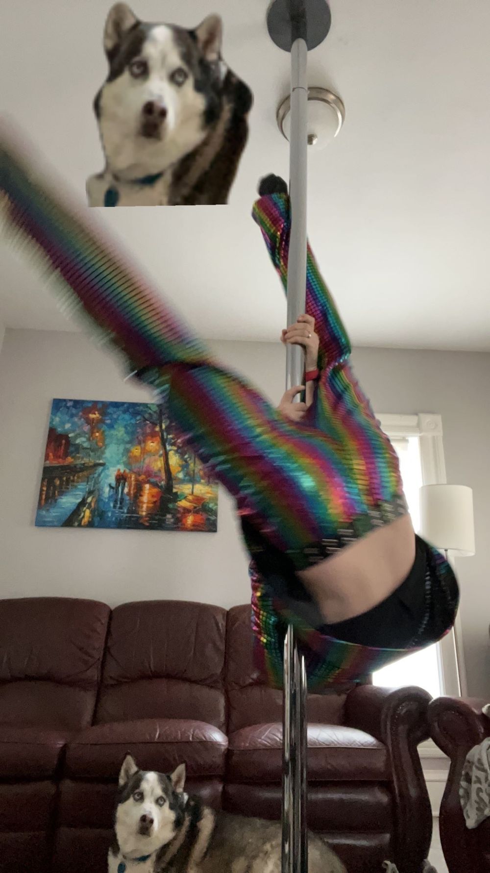 nathanshay1227 OnlyFans profile picture