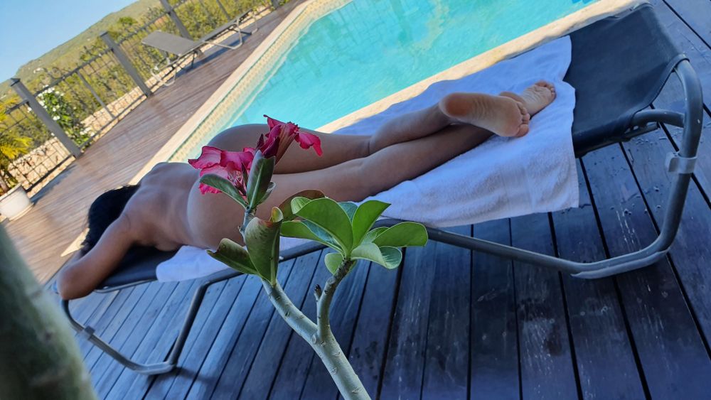 aleidavip OnlyFans profile picture