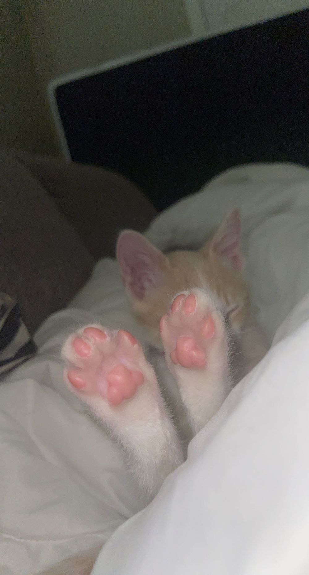 brooksishere OnlyFans profile picture