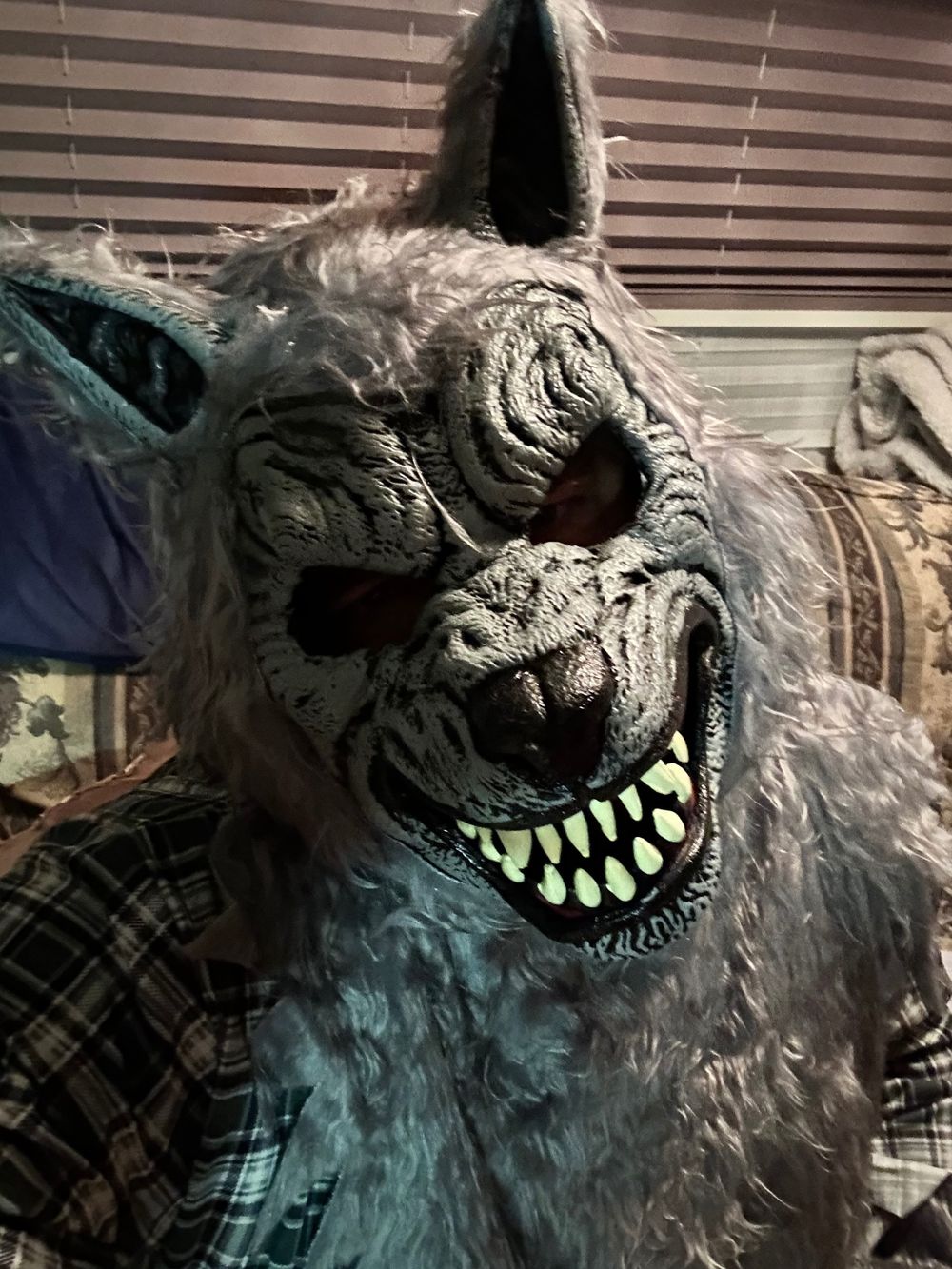 the1primalwolf OnlyFans profile picture