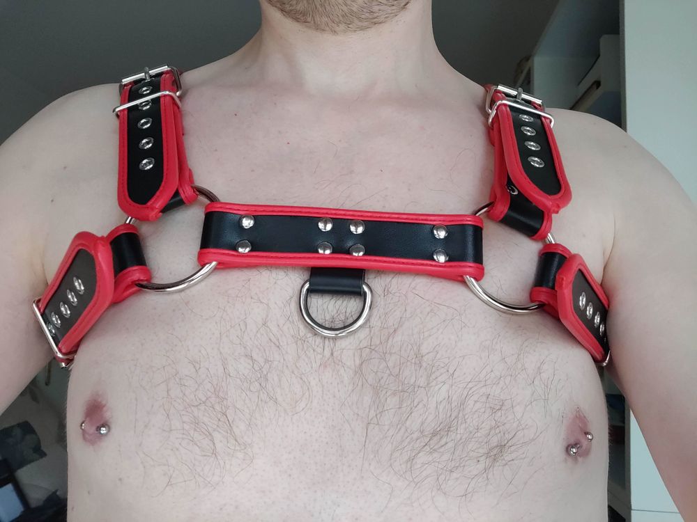 stretchedholes OnlyFans profile picture