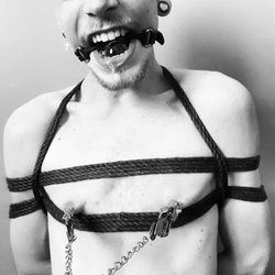 basthardalien OnlyFans picture