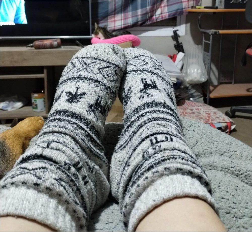 foxy00 OnlyFans profile picture