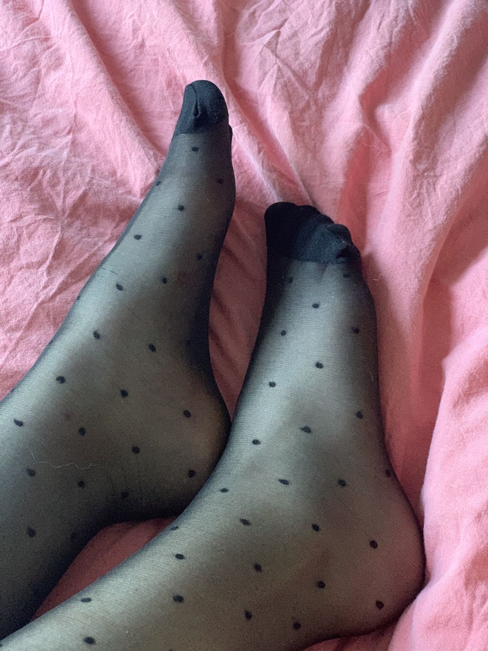 shyfootsiegirl OnlyFans profile picture