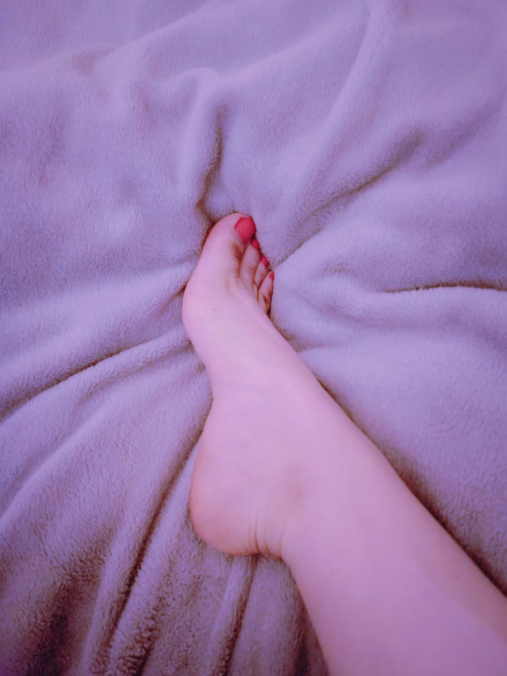lilacdevil OnlyFans profile picture