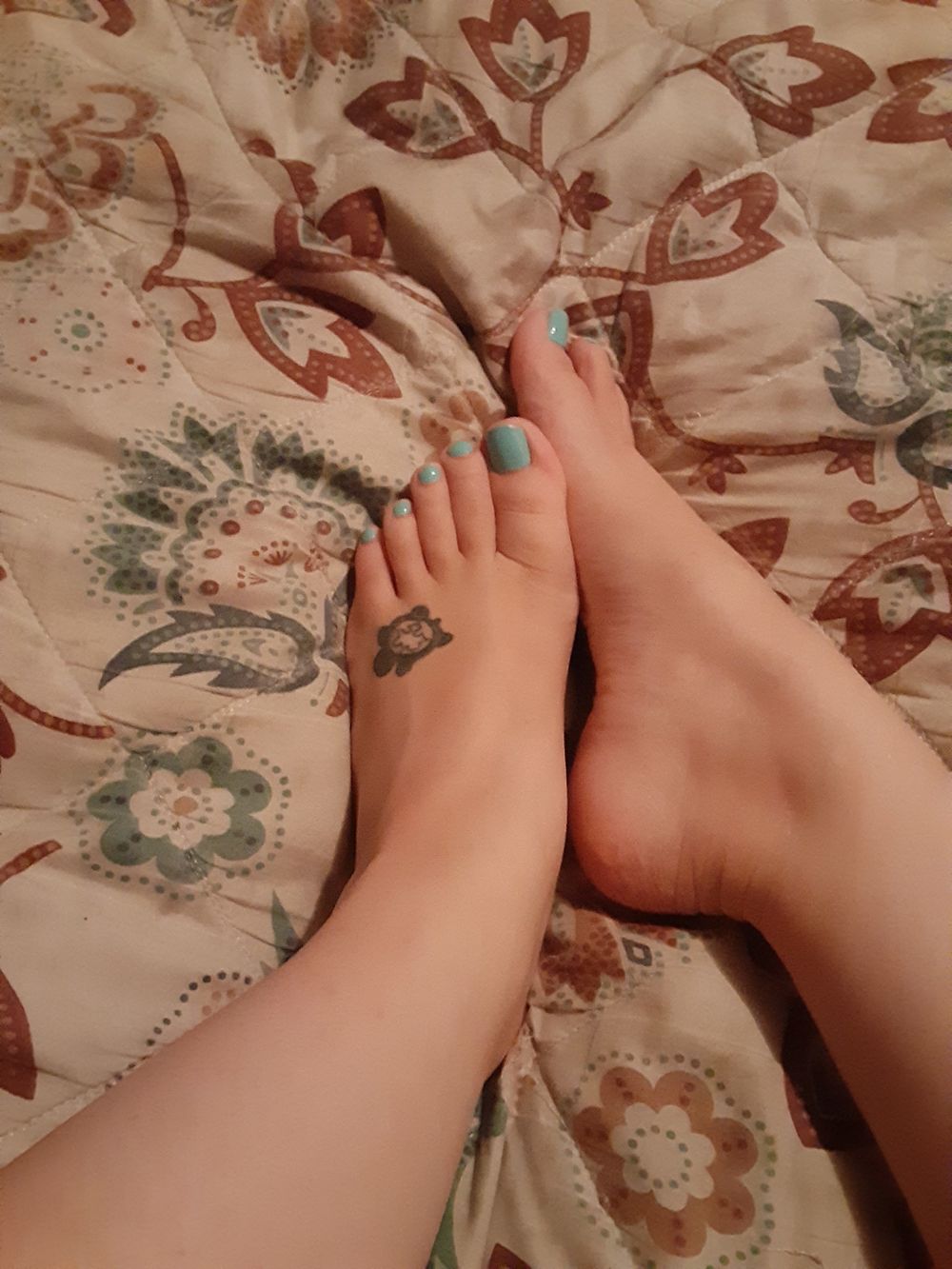 tealtoes3 OnlyFans profile picture