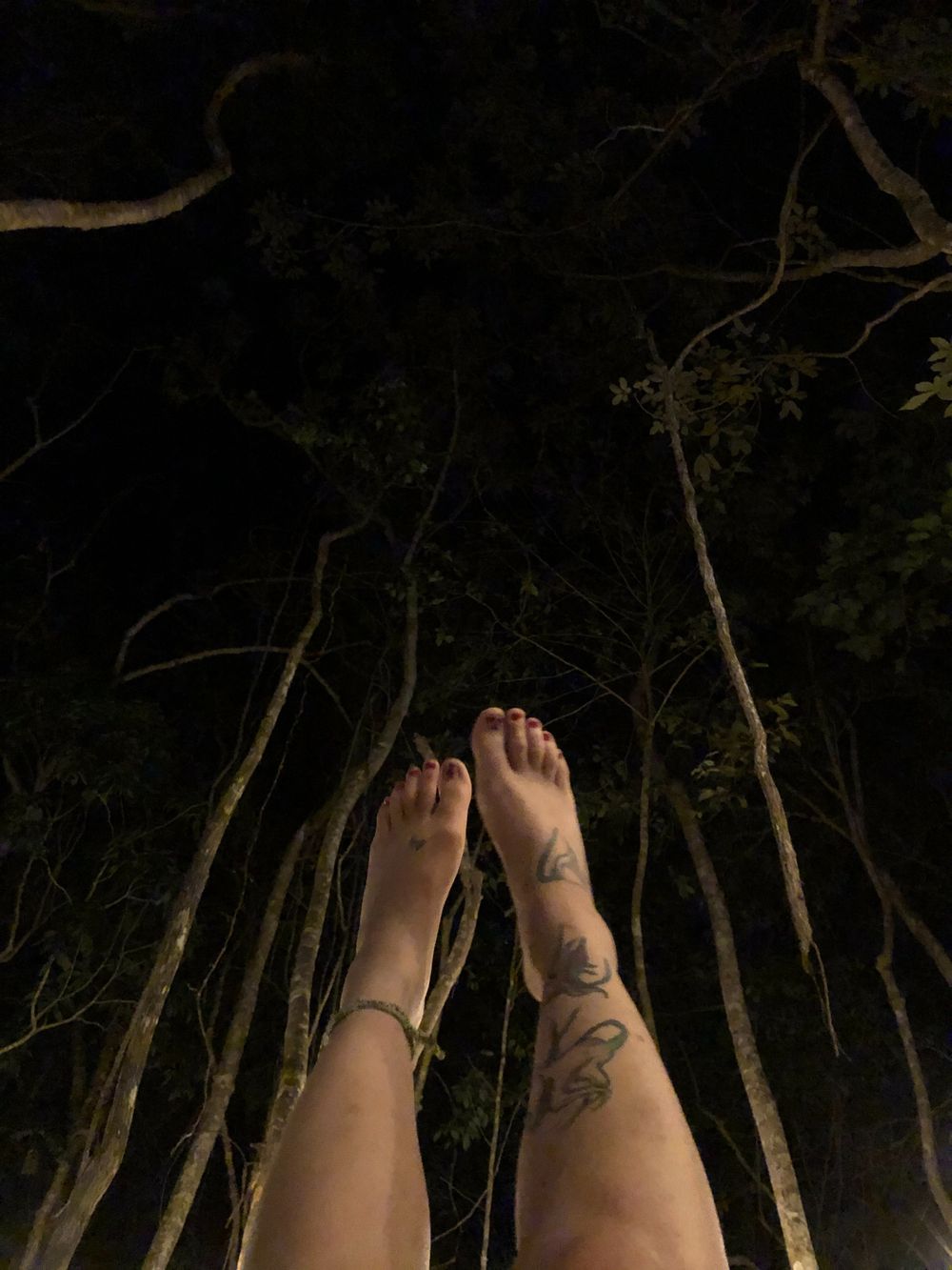 meal99 OnlyFans profile picture
