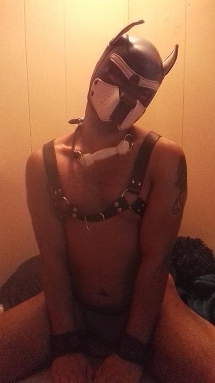 gayboi02201999 OnlyFans picture