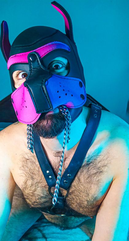 puppybearcub OnlyFans picture