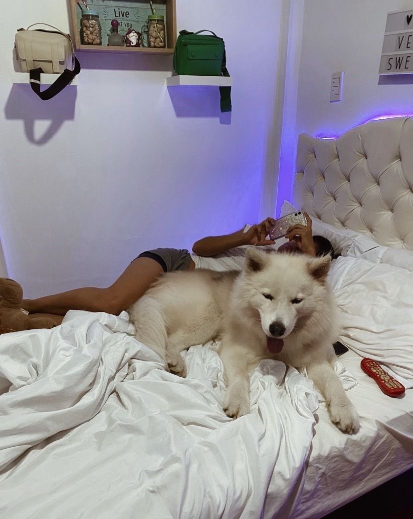 nicoxcastro OnlyFans profile picture