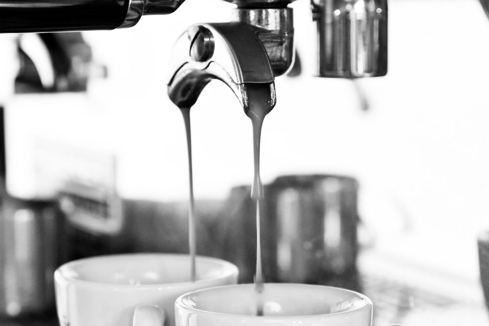 thenakedbarista OnlyFans profile picture