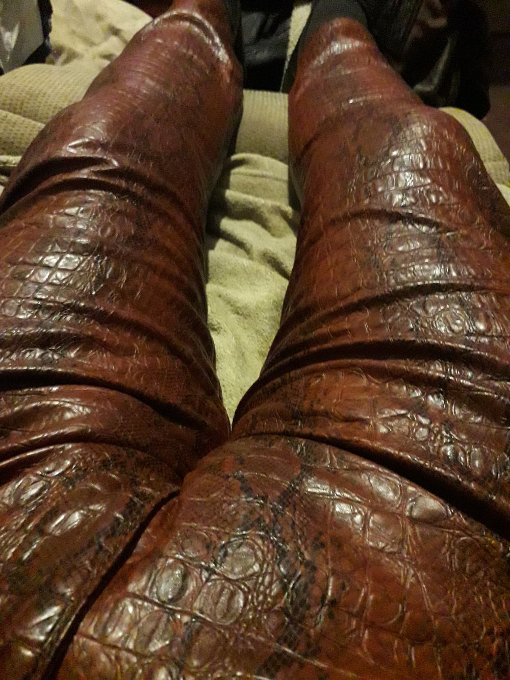 bodymodfan OnlyFans profile picture